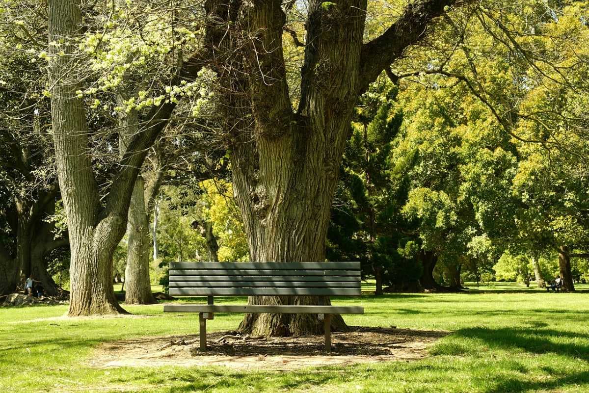 Adelaide travel image