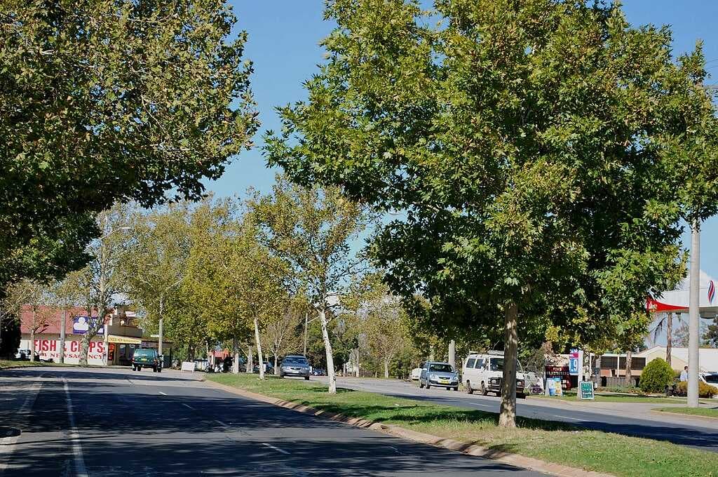 Albury travel image