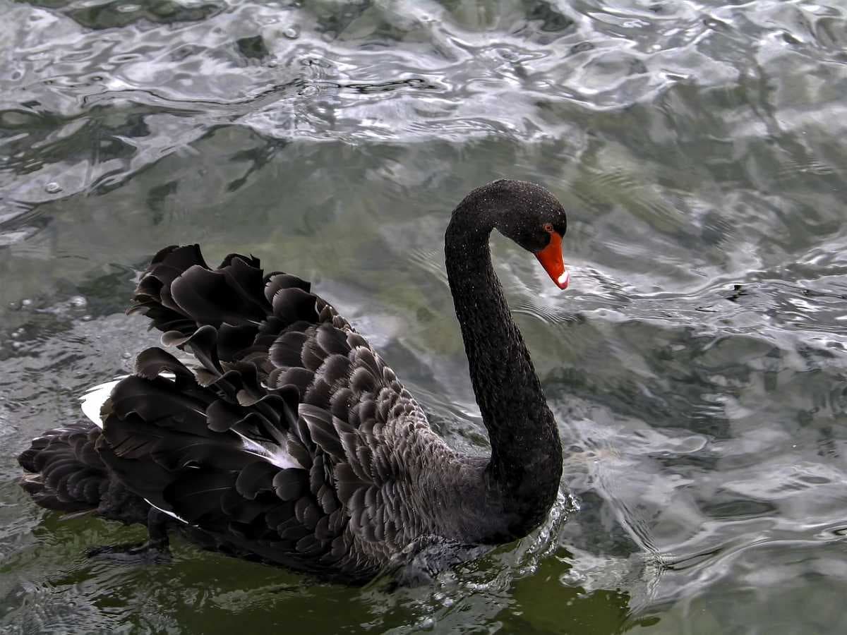 Canberra travel image