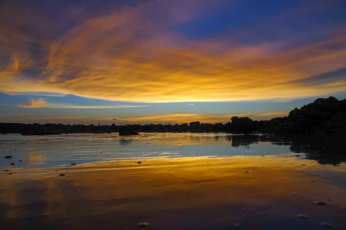 Darwin travel image