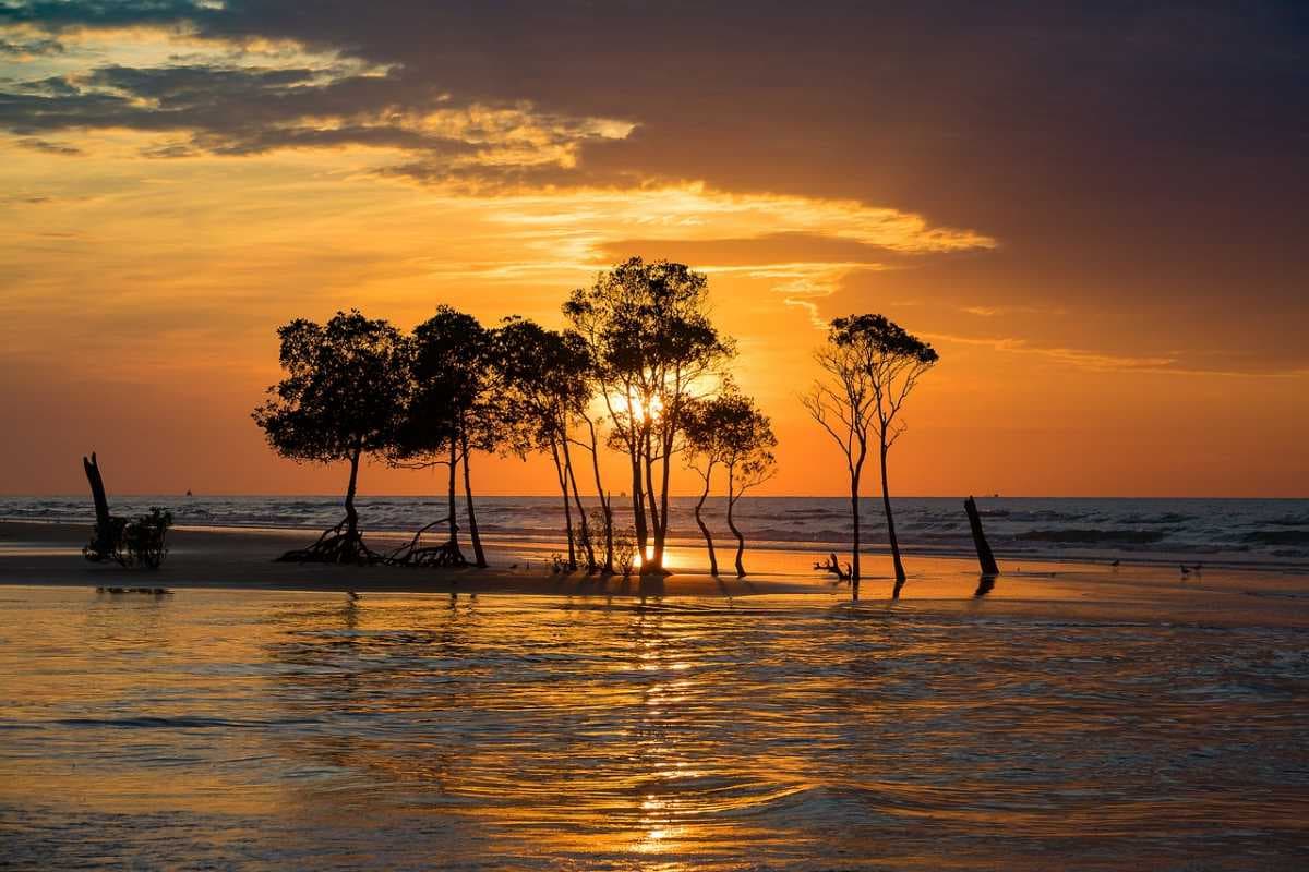 Darwin travel image