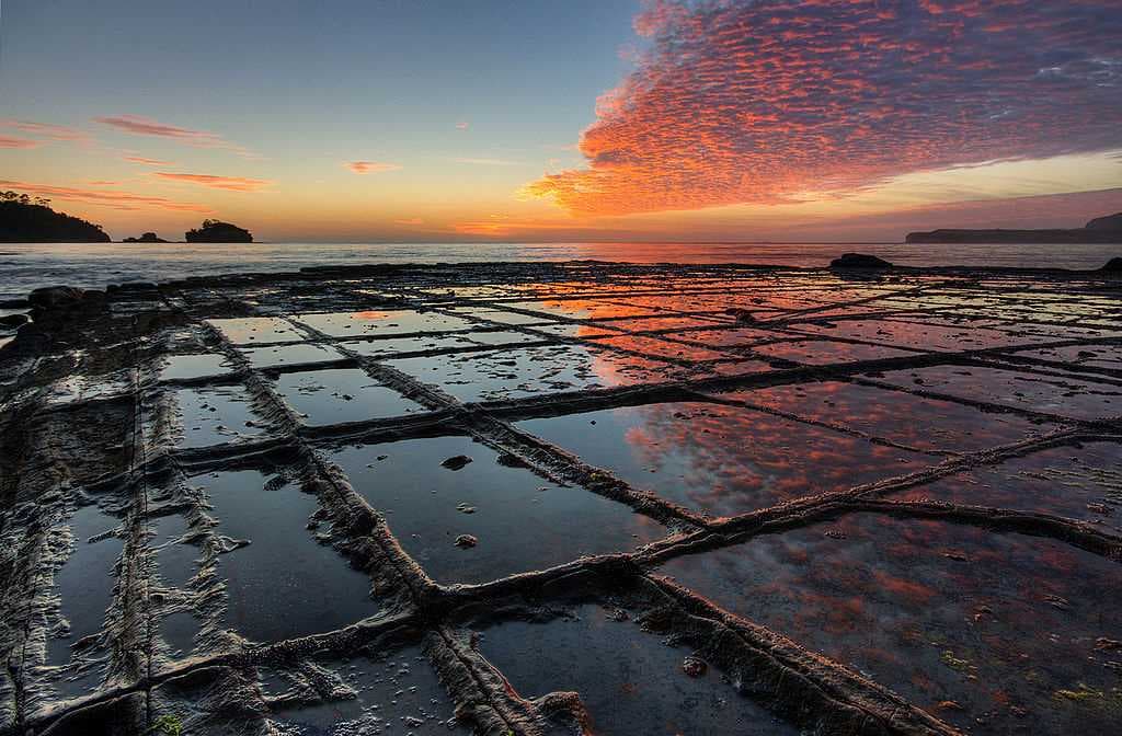 Tessellated pavement, a rare rock formation on the Tasman Peninsula