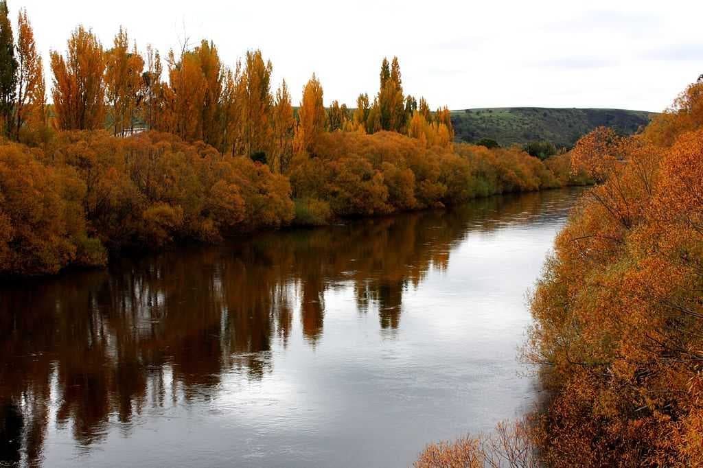 Autumn on the Derwent River in Tasmania