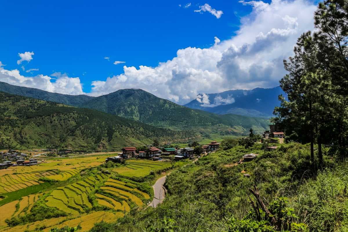Bhutan, Punakha, panoramic view of valley from Lobesa towards Wangdue Phodrang. Rice crops between the rivers Pho Chhu and Mo Chhu