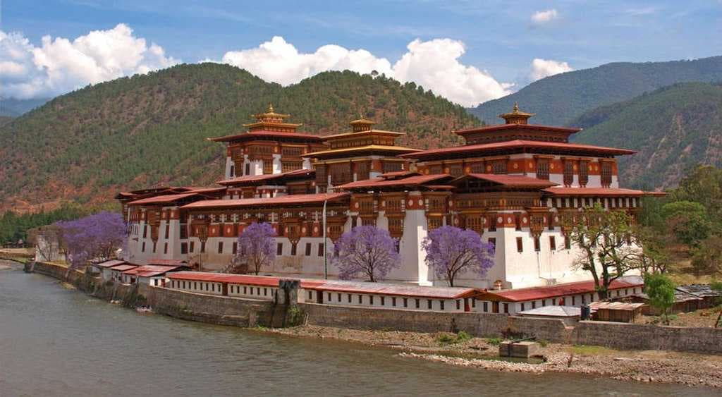 Pungthang Dewachen Gi Phodrang in Punakha and jacarandas