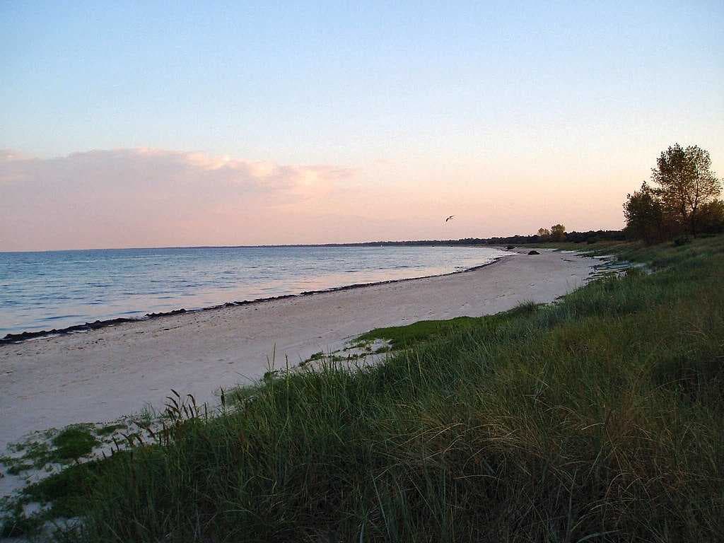 The long beach.