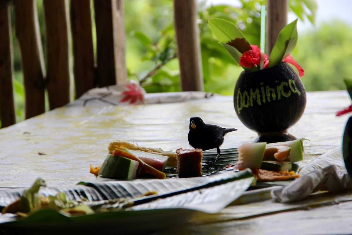 Dominica travel image