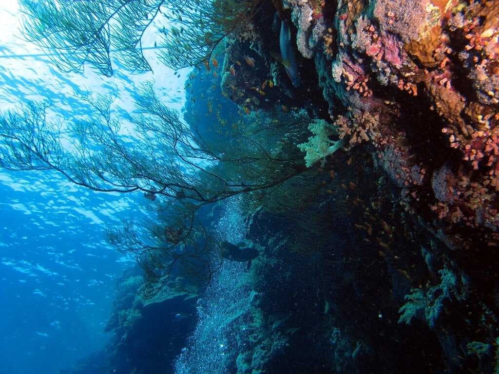 Marsa Alam travel image