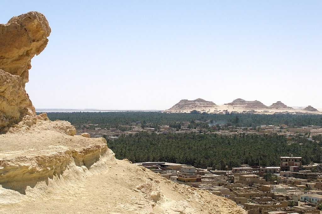 The Siwa Oasis is vast, extending beyond the horizon