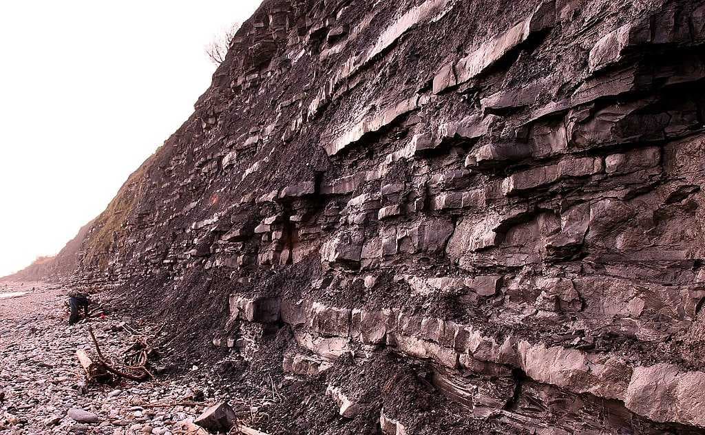 Blue Lias cliffs at Lyme Regis