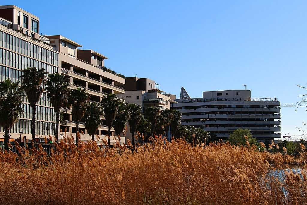 Montpellier travel image