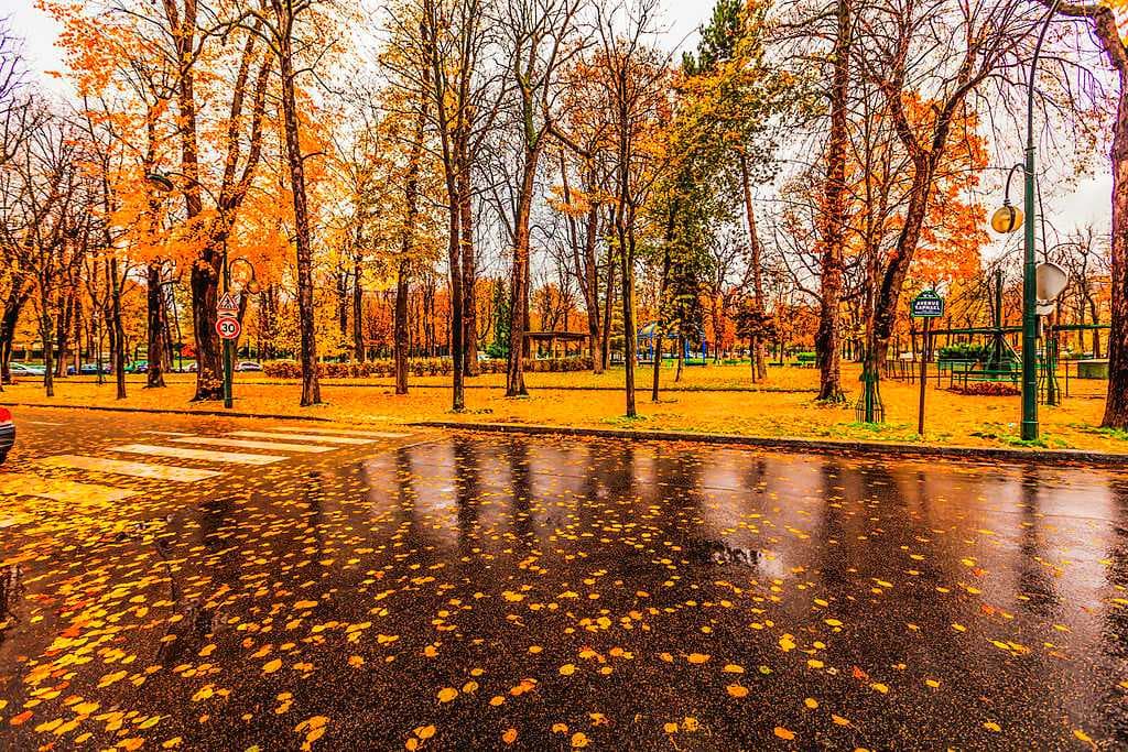 Autumn in Paris