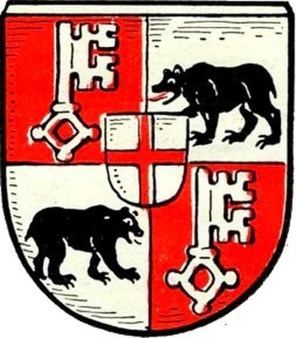 Town's old arms