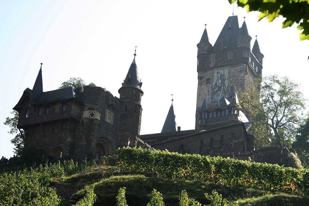 Vineyards at the Reichsburg Cochem