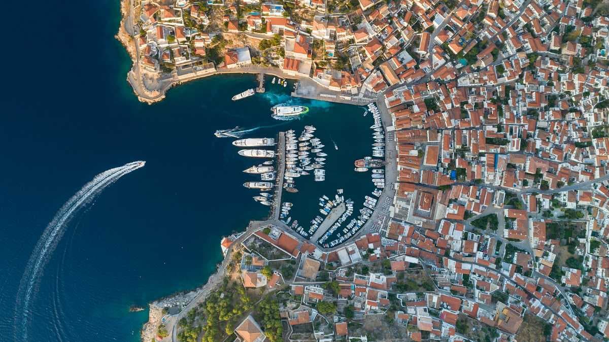 Hydra