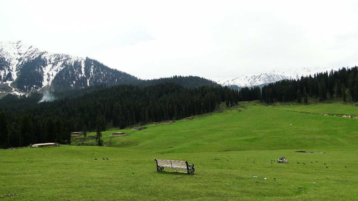 Picture of Doodhpathri