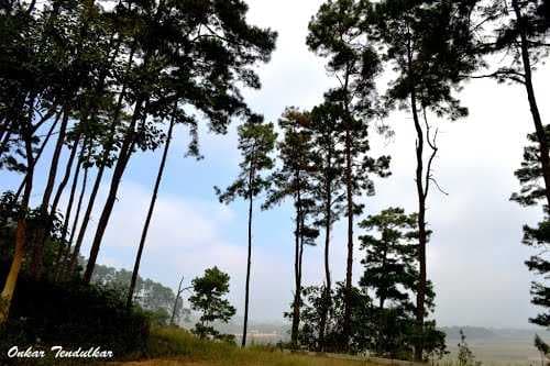 Keibul lamjao national Park