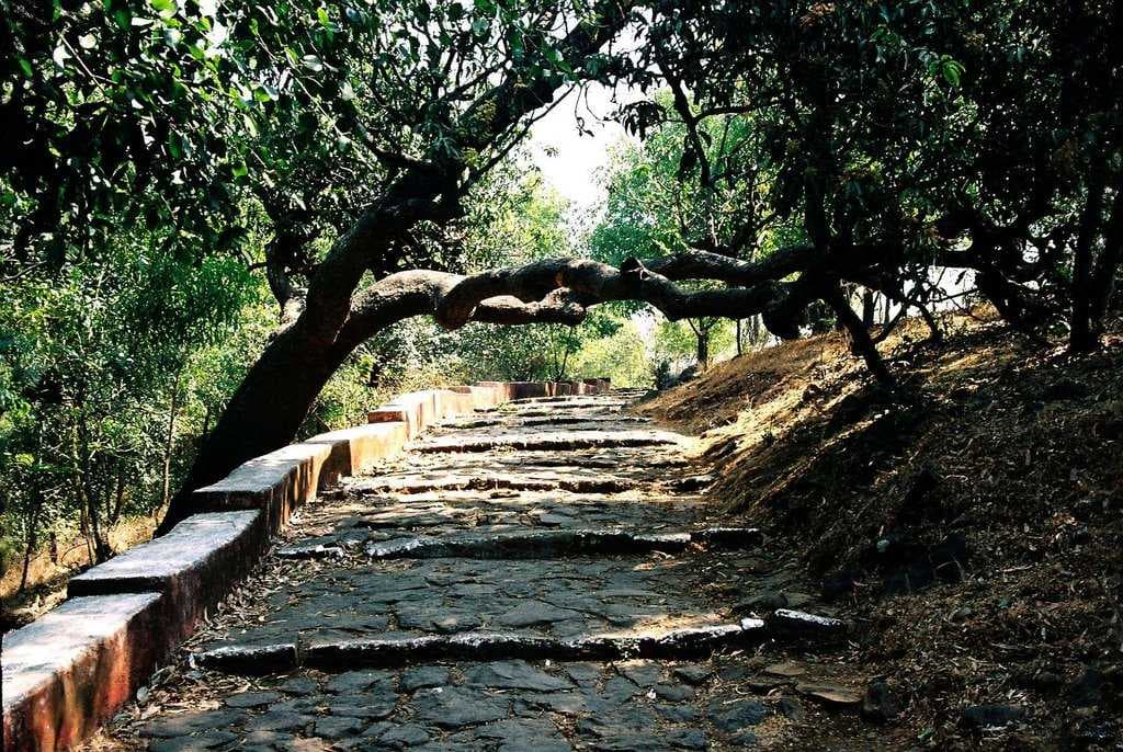 Kanakeshwar forest