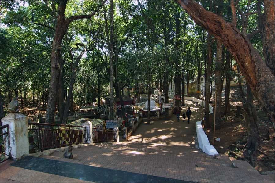 Mai ki Bagiya - Natural Garden Located Near Narmadakund