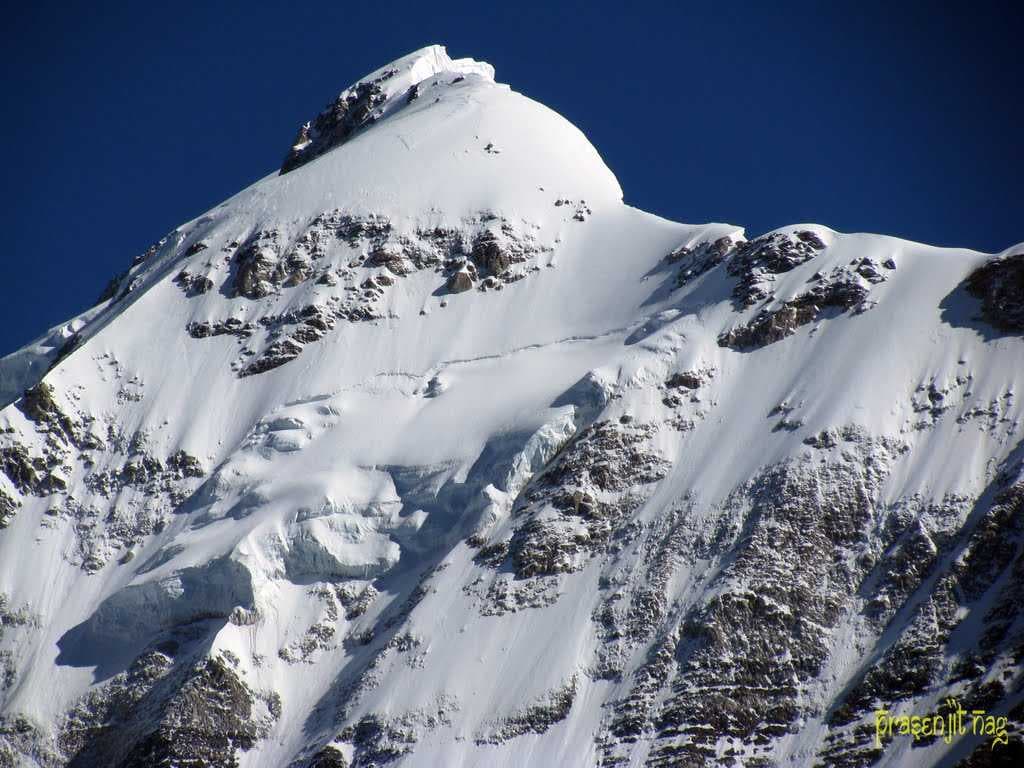 Auli