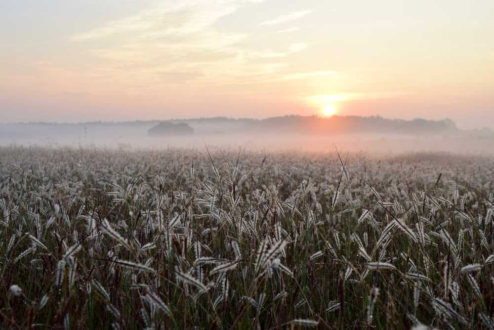 Misty Morning Sunrise View, Belgaum