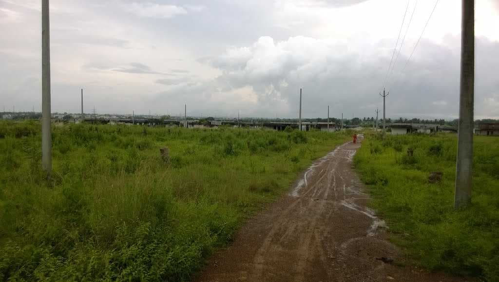 Pathara, Odisha, India