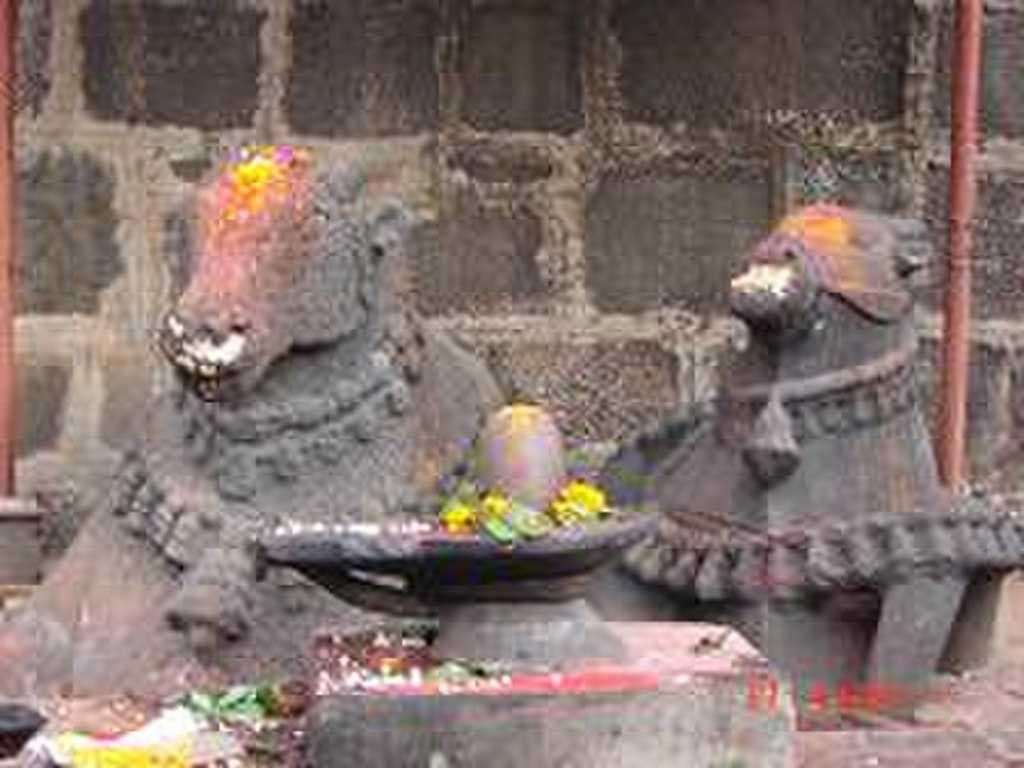 Bhimashankar travel image