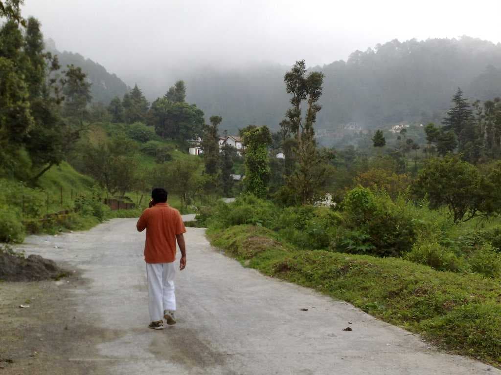 Shyamkhet Tea Gardens