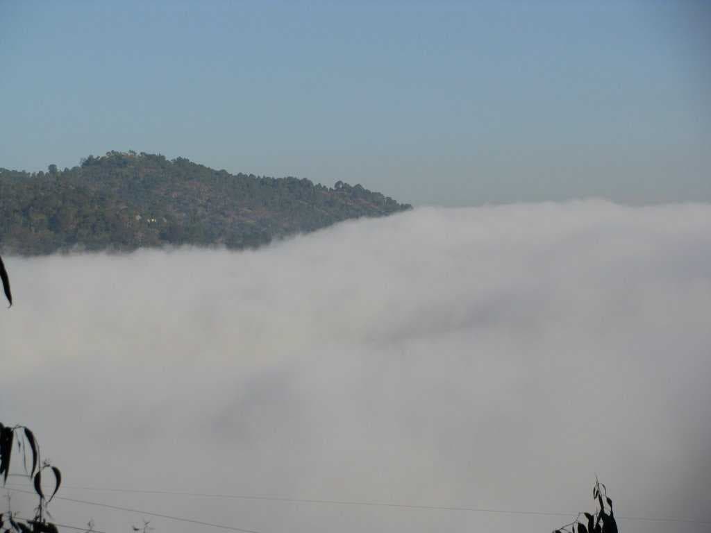 morning fog over bilaspur