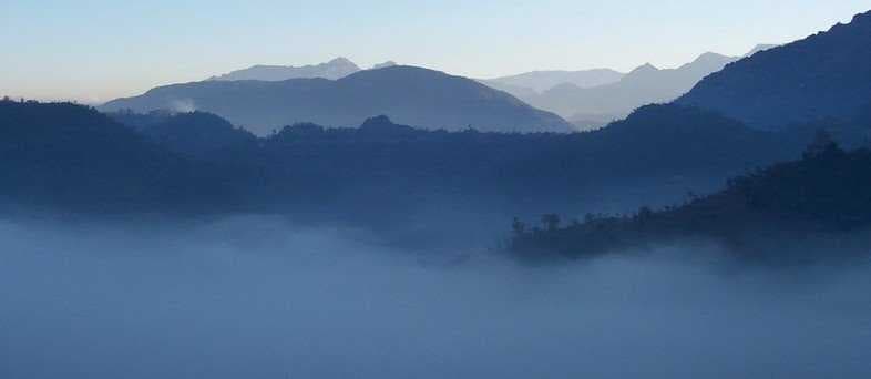 Morning Fog over