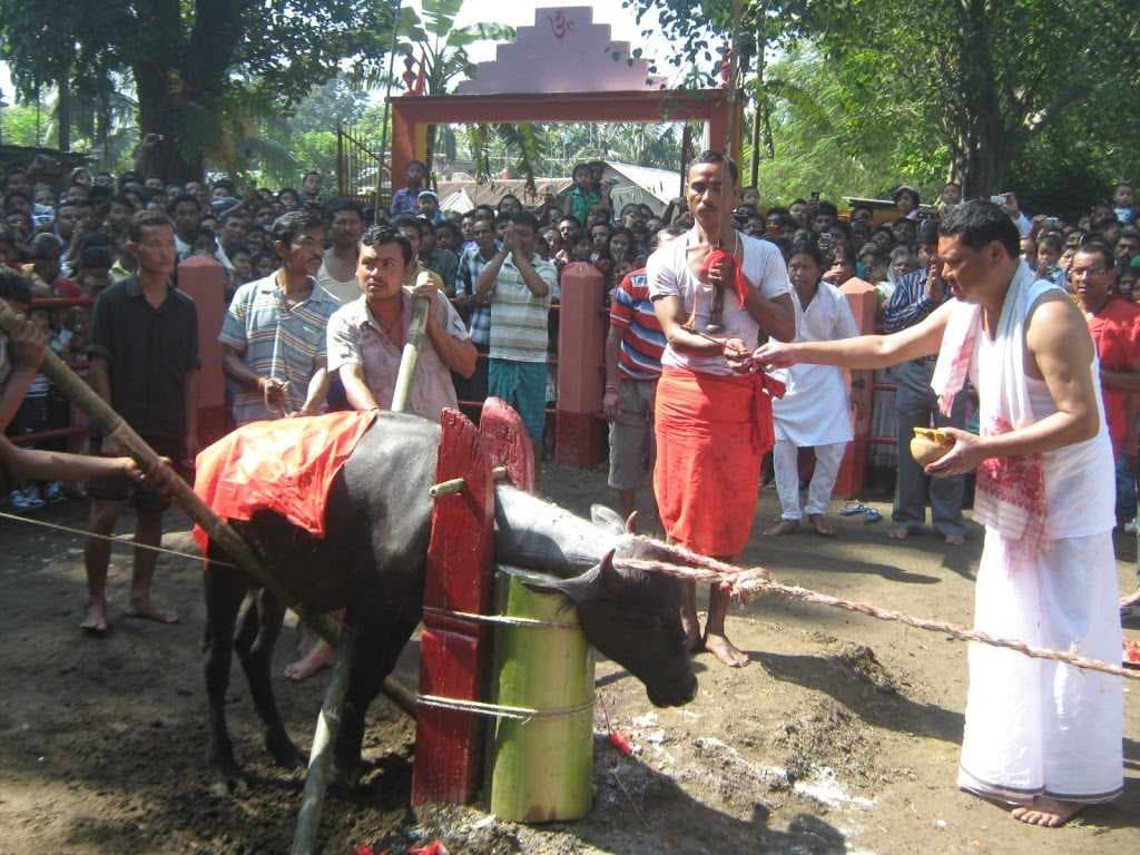 Bongaigaon