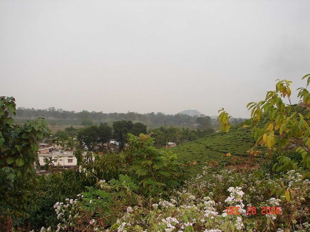 Bagheswari Hill
