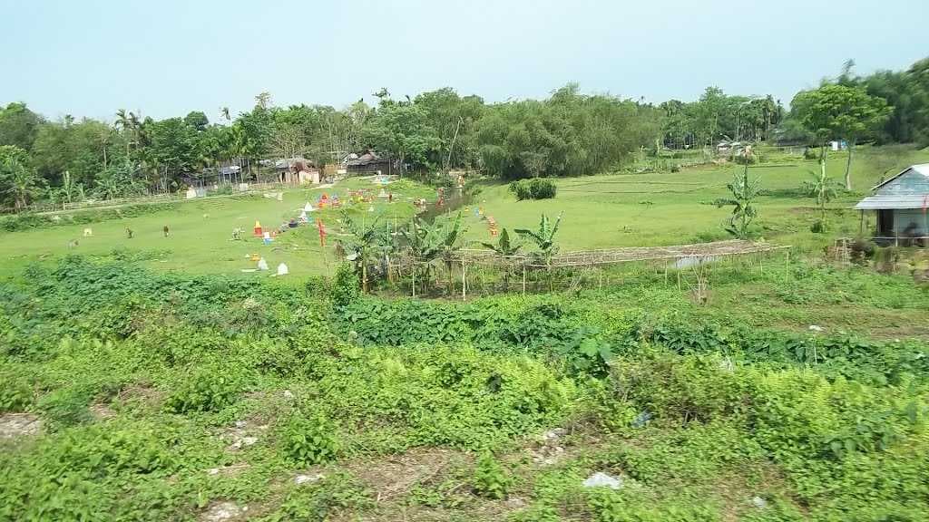 Birjhora Tea Estate