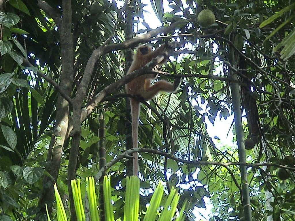 KakoiJana Wildlife Sanctuary