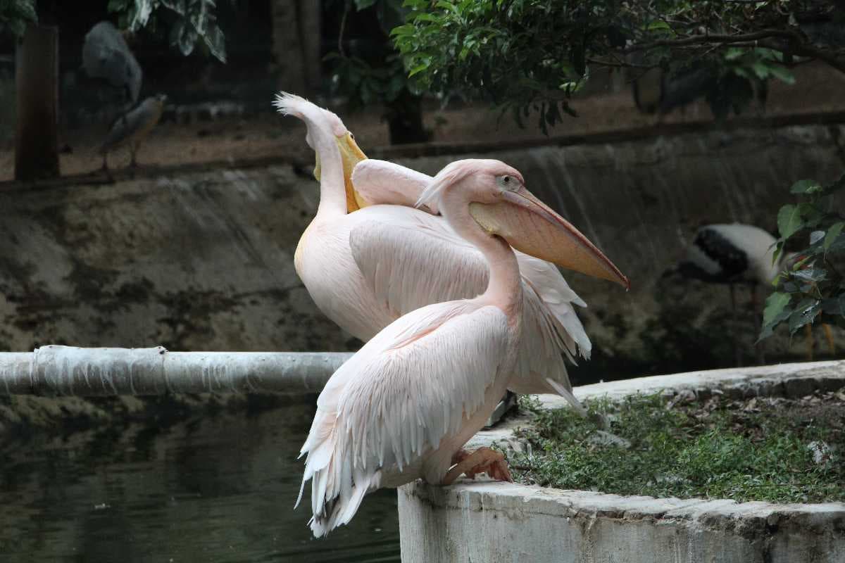 Guindy National Park - 8th Smallest National Park in India