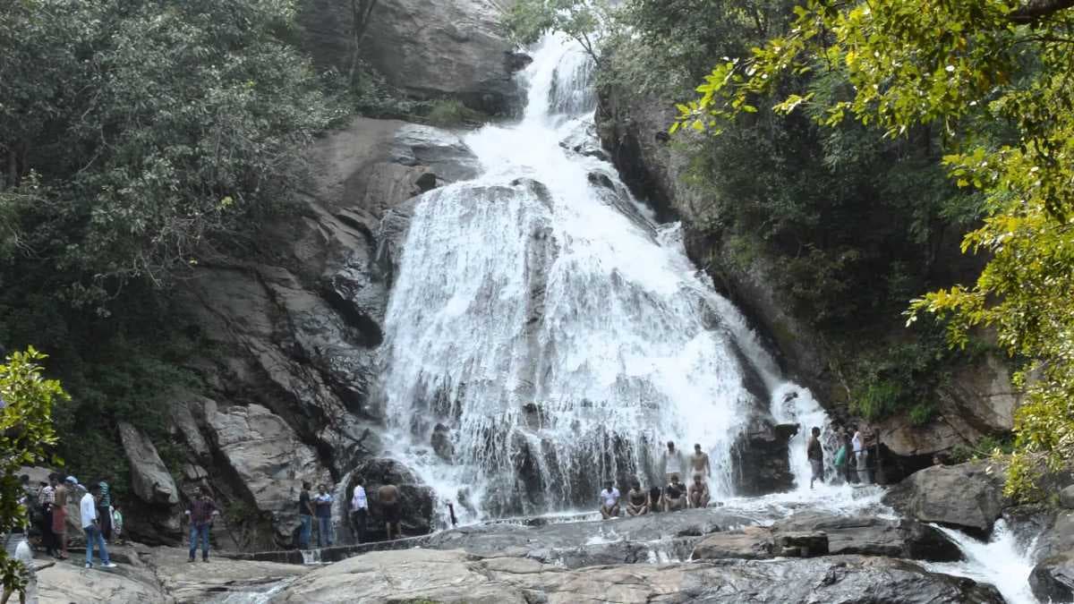 Monkey Falls - Nestled in Amidst of Forest