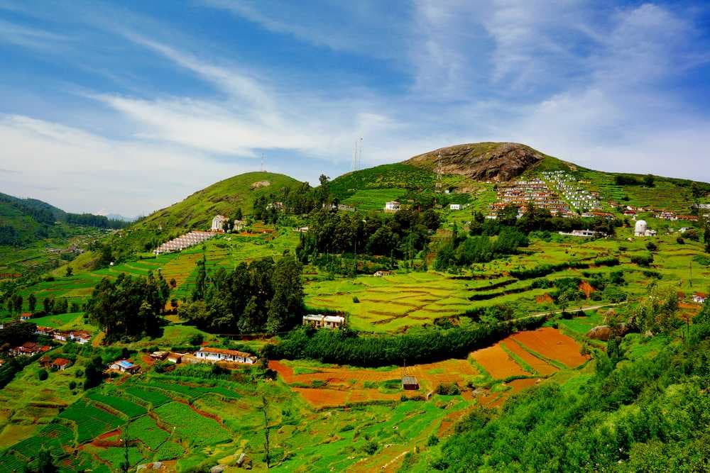 Mystical Landscape Covered with Lush Greenery, Coonoor