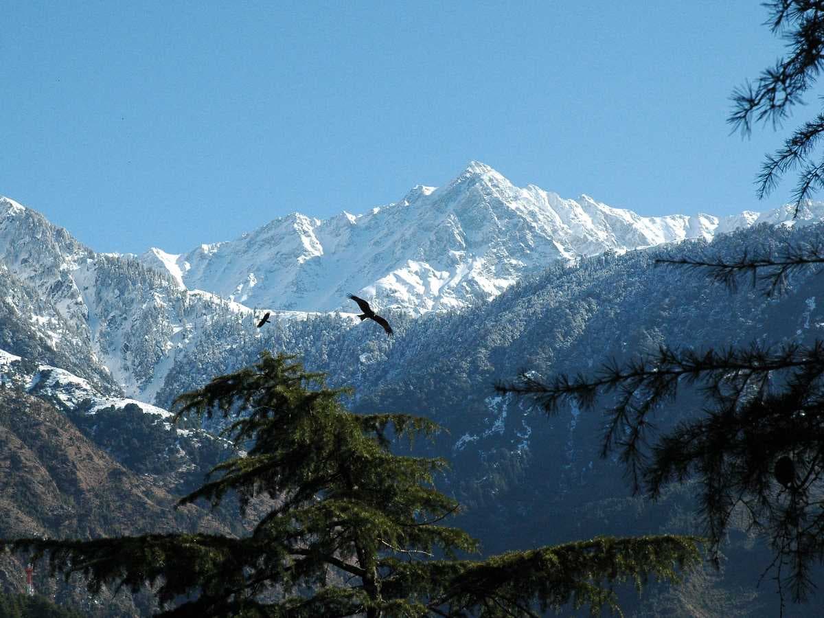 Snow Capped Dhauladhar Ranges