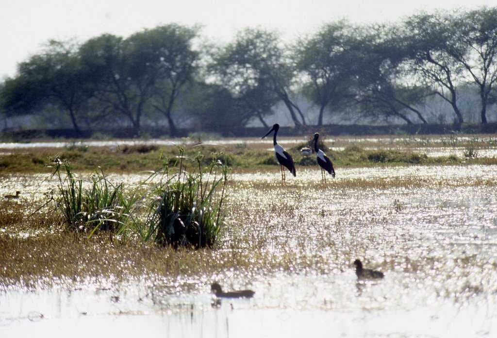 Bharatpur