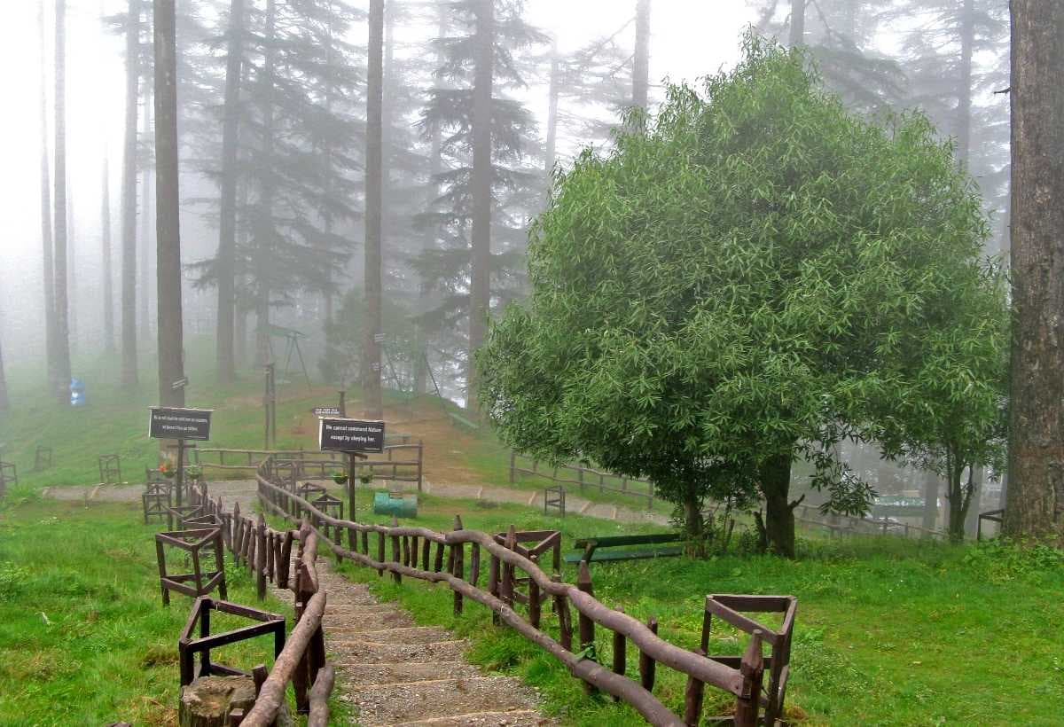 Eco Park - Developed by DFO and Citizens of Dhanaulti