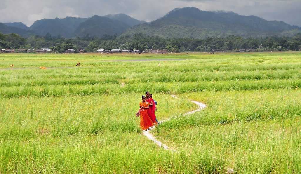synchronised walking in Assam