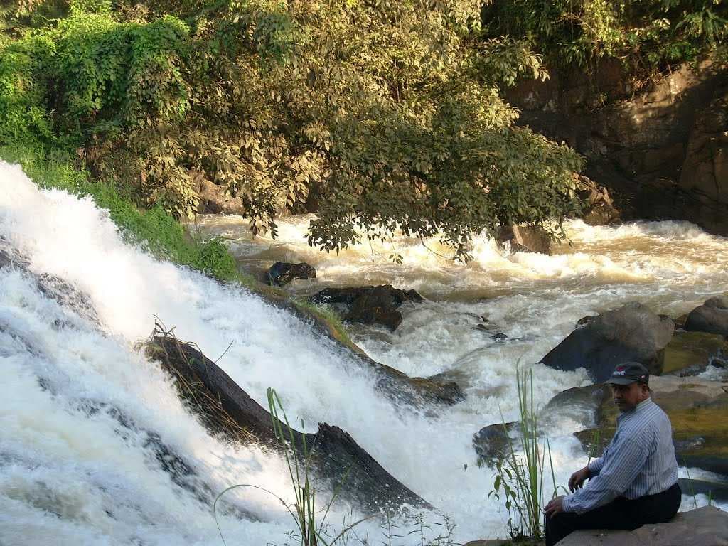 Diphu