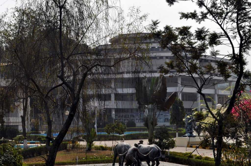 Srimanta Shankardev Kalashetra, Punjabari Road