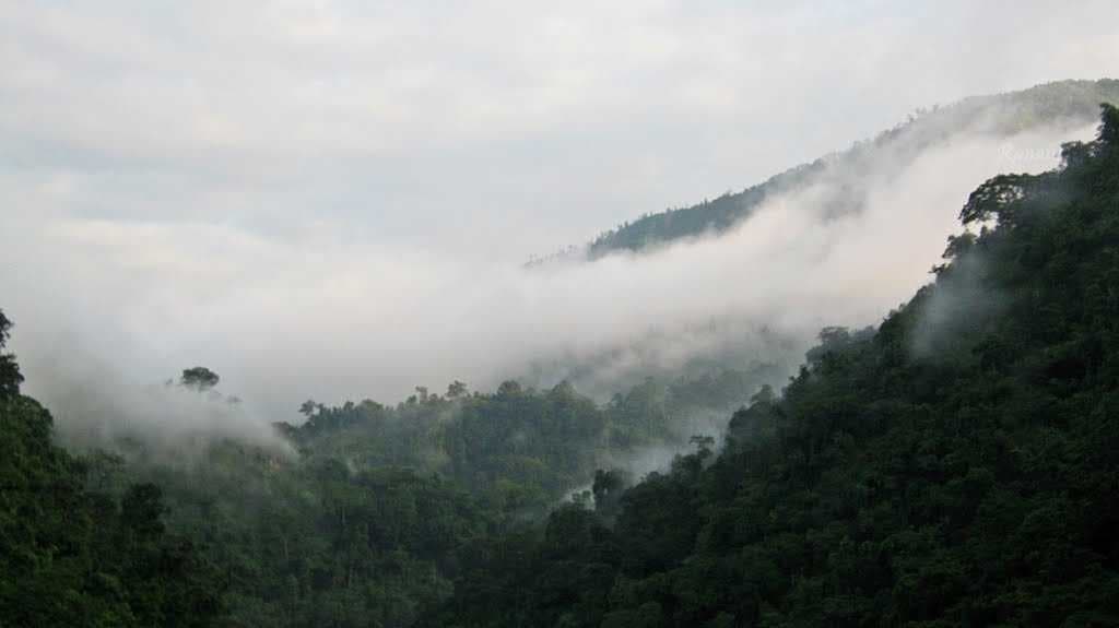 Mahanada Wildlife Sanctuary