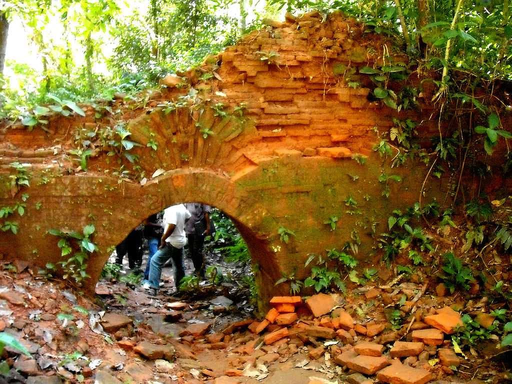 Remains of Nalrajar Garh in Chilapata Forest
