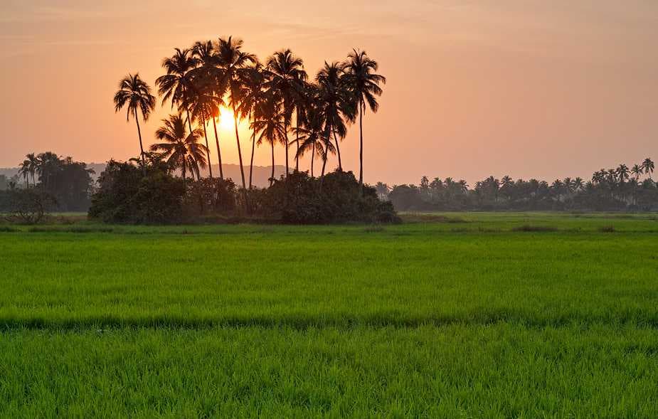 Picturesque Scenery of Pawas