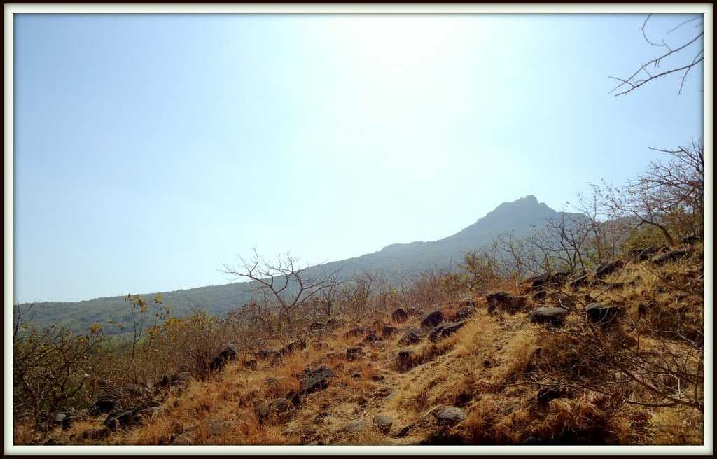 Mount Girnar -Junagadh Forest area