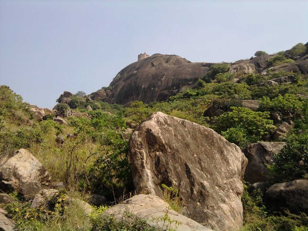 Kondaveedu