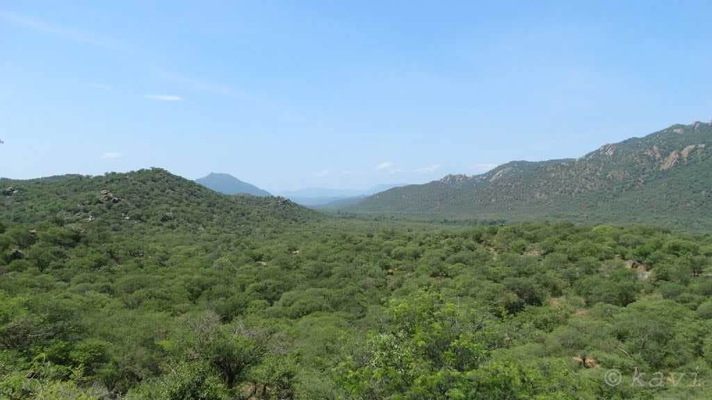 Pennagram Village