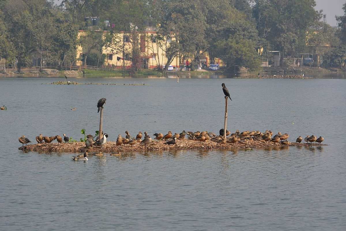 Santragachi Jheel